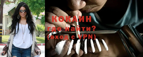 индика Арсеньев