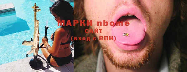 индика Арсеньев