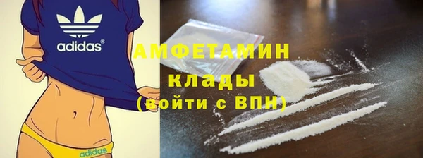 индика Арсеньев