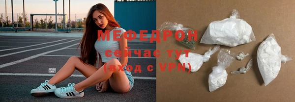 индика Арсеньев