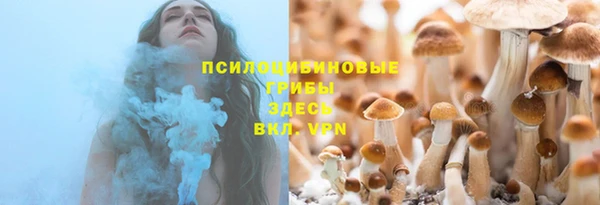 индика Арсеньев