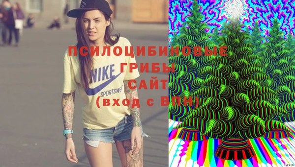 спайс Аркадак