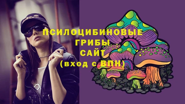 индика Арсеньев