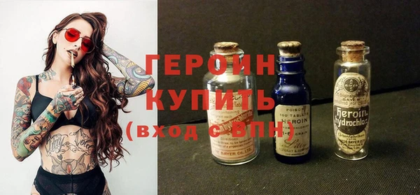 индика Арсеньев