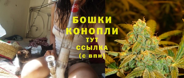 индика Арсеньев