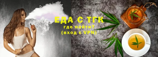 индика Арсеньев