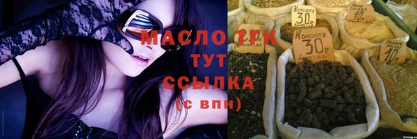 индика Арсеньев