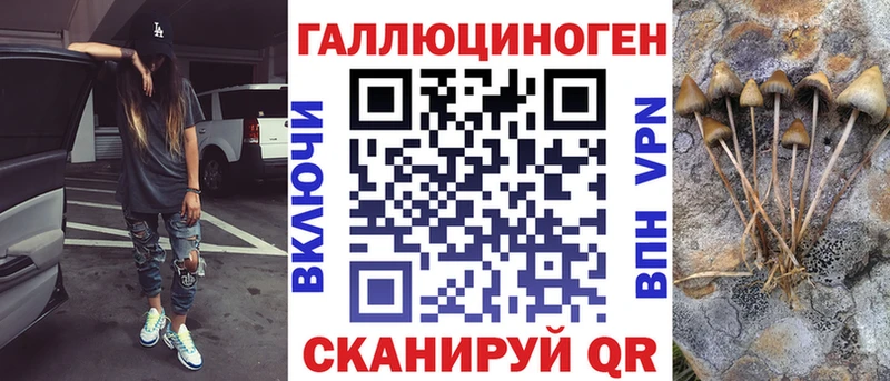 Галлюциногенные грибы Cubensis  Тырныауз 