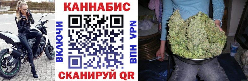 Марихуана гибрид  Тырныауз 